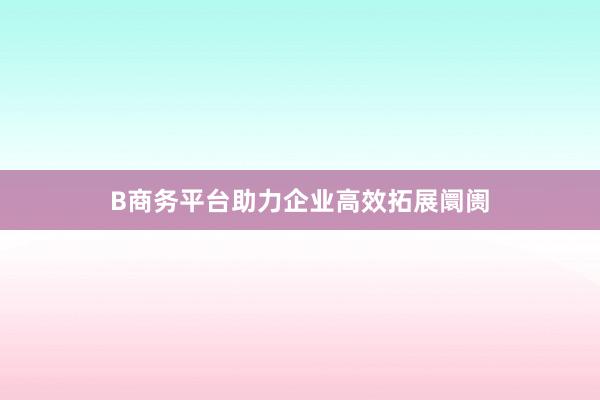 B商务平台助力企业高效拓展阛阓